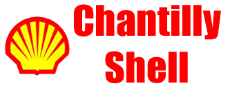 Chantilly Shell